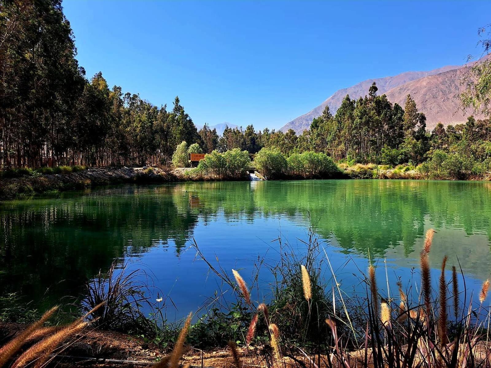 Guizado Portillo Hacienda & Resort Lunahuaná Dış mekan fotoğraf