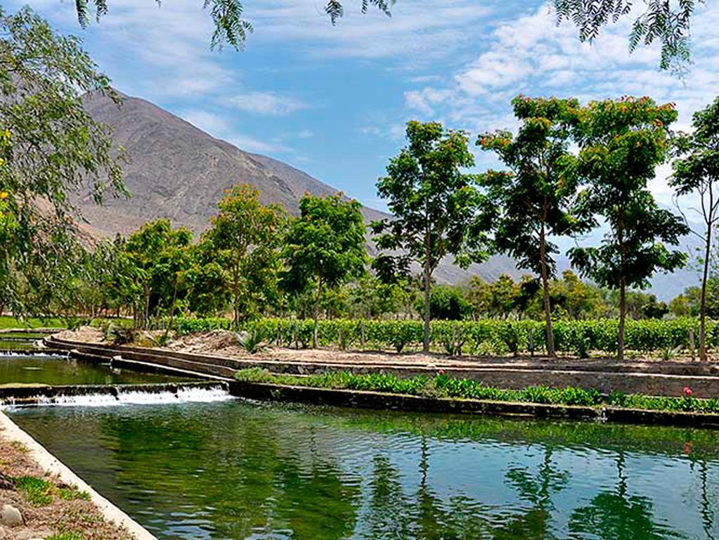 Guizado Portillo Hacienda & Resort Lunahuaná Dış mekan fotoğraf