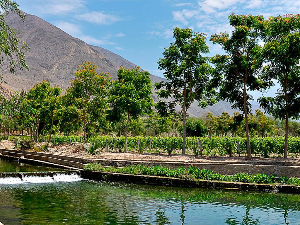 Guizado Portillo Hacienda & Resort Lunahuaná Dış mekan fotoğraf